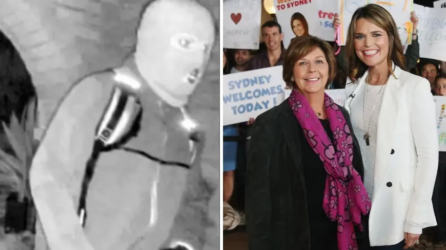 Nancy Guthrie Update Today: Search Intensifies as Investigators Detain and Release a Person of Interest