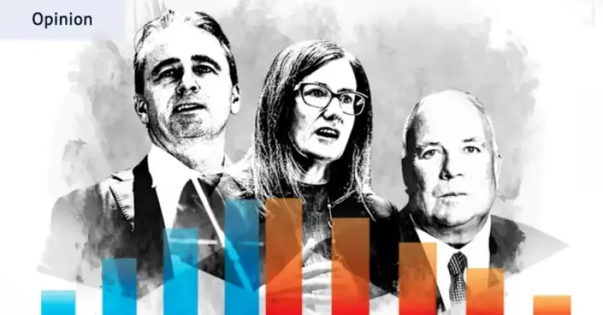 Analyzing the Highlights and Pitfalls of Profit Season