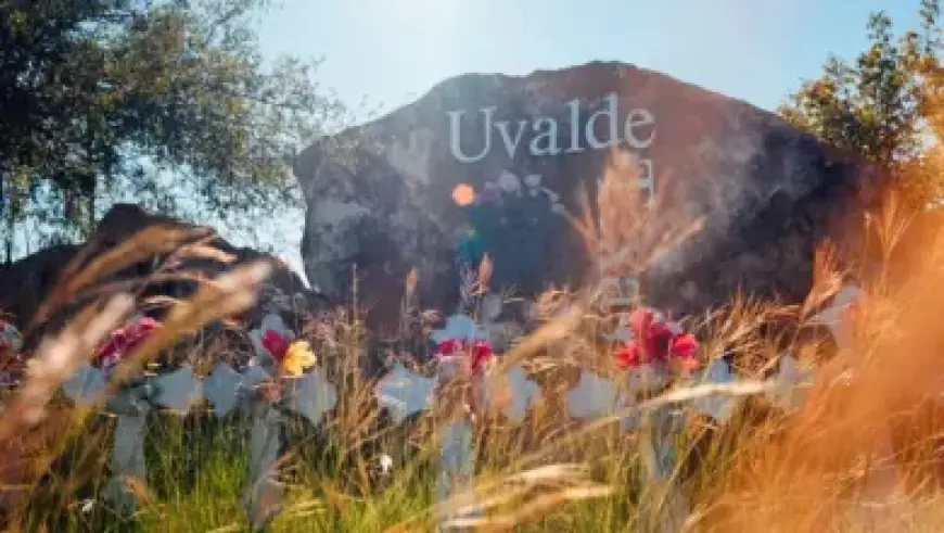 DHS Places Border Patrol Agent on Leave After Chicago Woman Shooting