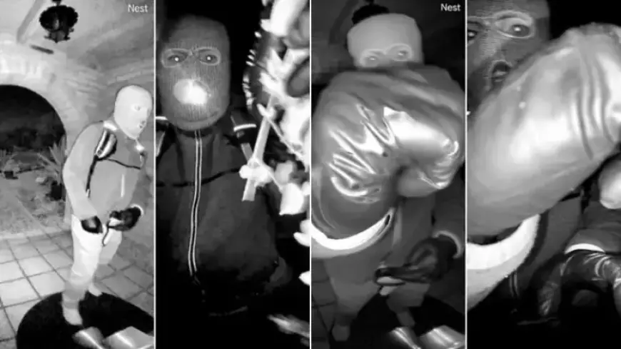 FBI Searches Roads Near Nancy Guthrie’s Home; Detainee Seeks to Clear Name