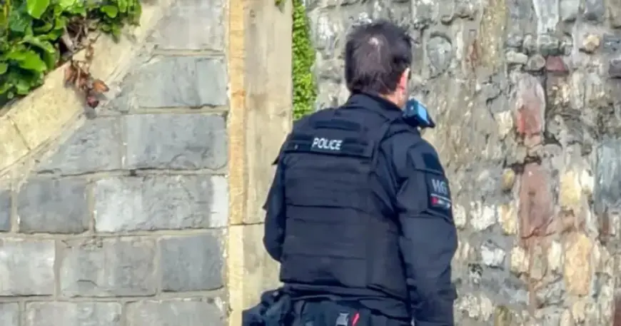 Bristol Zoo’s Gorillas Relocated Under Armed Police Supervision