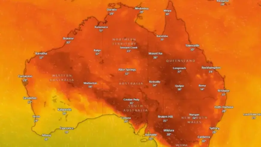 Heatwave Warning Issued as Temperatures Soar to 40°C