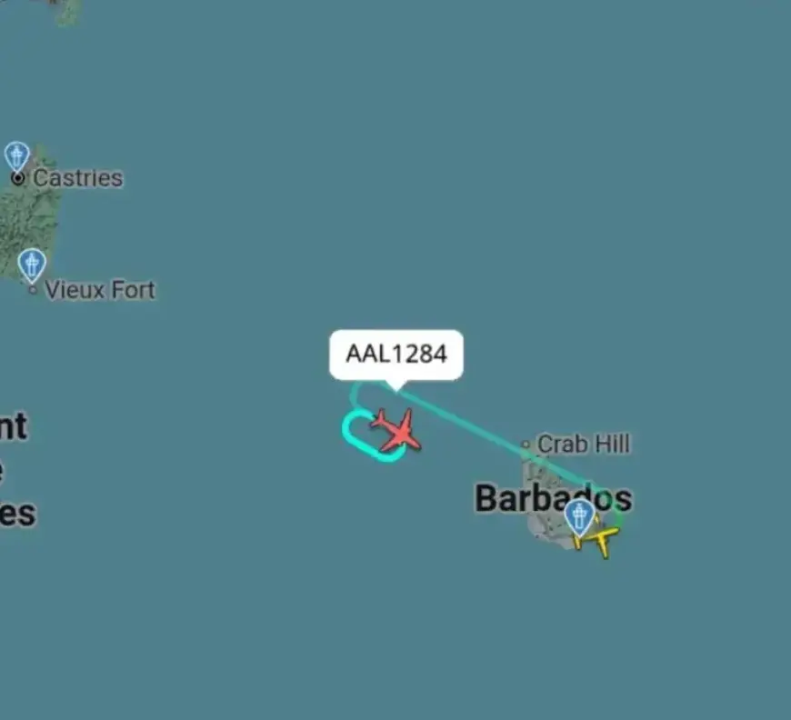 Miami-Bound AA Flight Safely Lands at GAIA