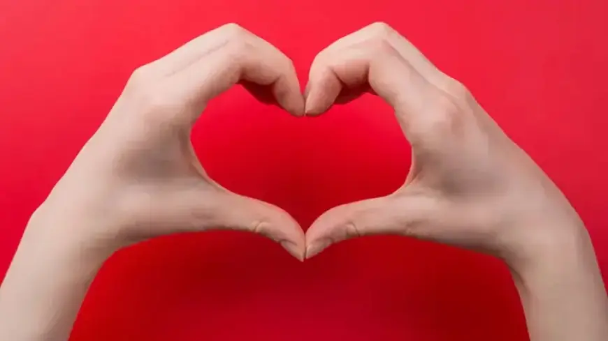 Hargreaves Lansdown: Four Fund Pairings That Show Opposites Attract