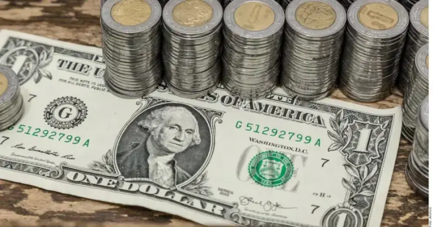 Mexican Peso vs. US Dollar: Exchange Rate for Wednesday, February 11, 2026