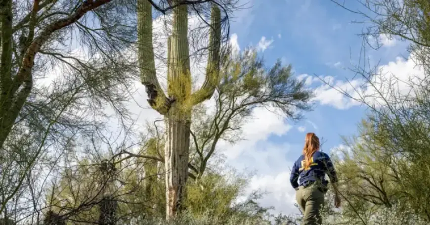 Nancy Guthrie Search: Real-Time Updates