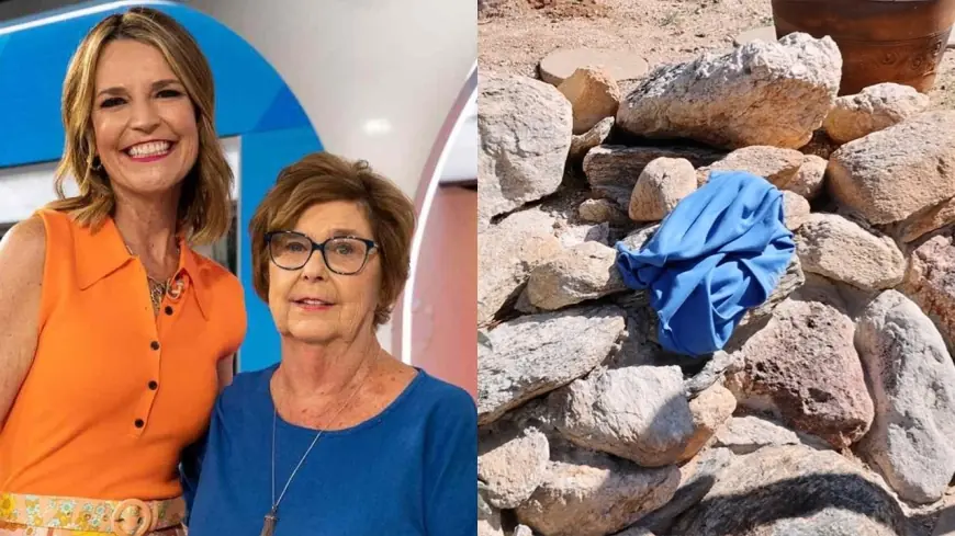 Guthrie update: Search intensifies for Nancy Guthrie as investigators pursue new tips