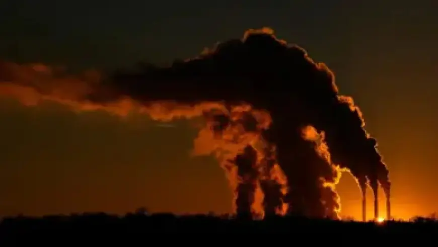 Lawyer Claims Federal Deception Justified Marimar Martinez Shooting