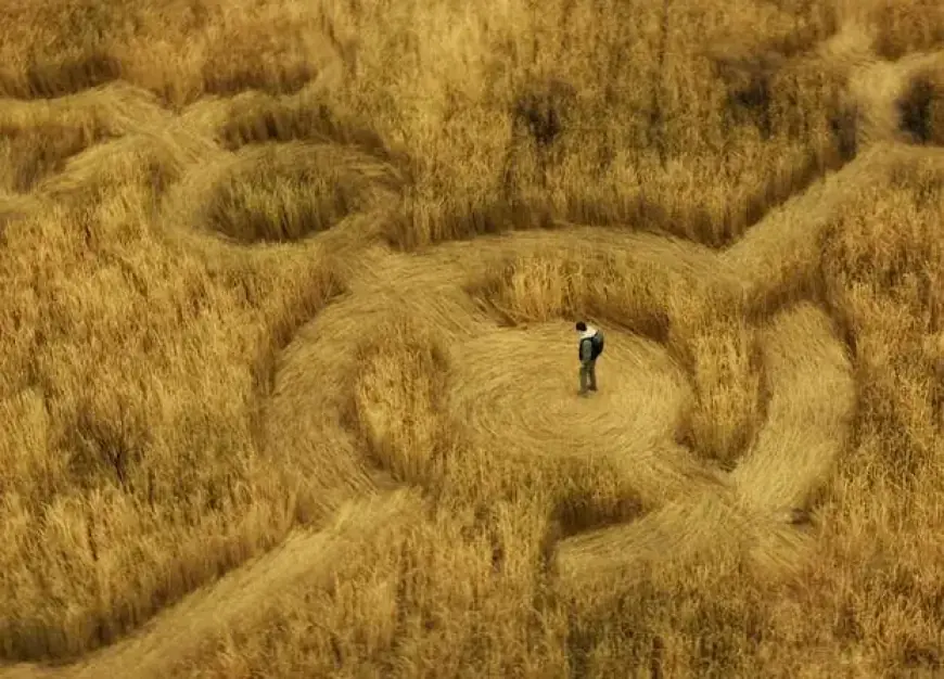 Steven Spielberg Revives Alien Genre with ‘Disclosure Day’: Key Details