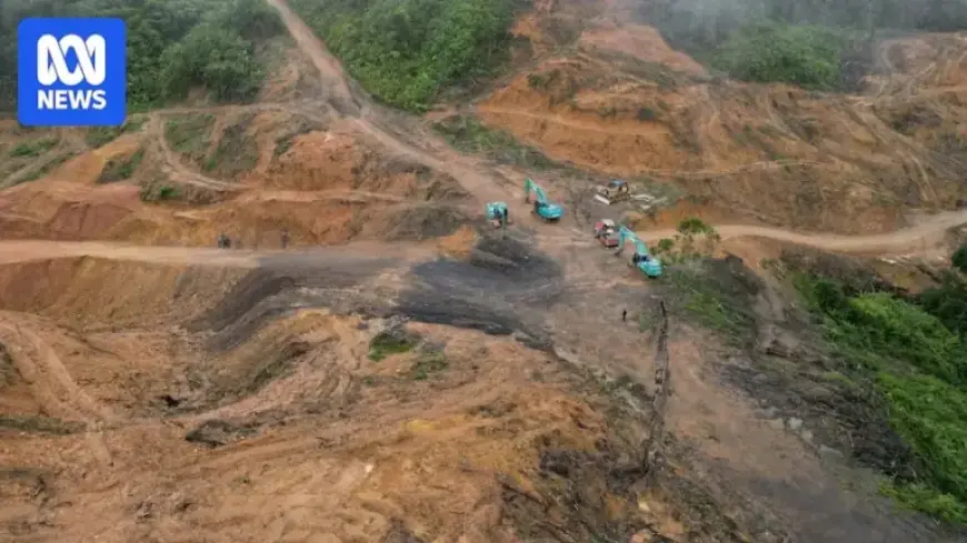 “Rising Wood Imports Raise Questions on Source Transparency”