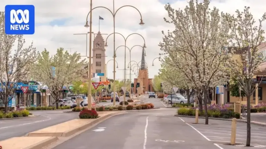 Should Local Councils Implement Paid Parking?