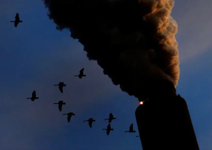 Trump Revokes U.S. Authority to Regulate Climate Policies