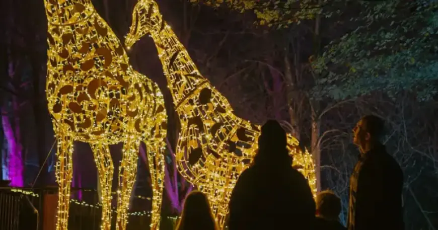 Wildlife Park’s Dazzling Light Trail Returns with Exciting New Surprises