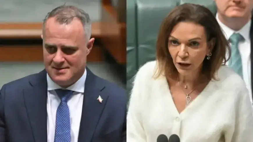 Anne Aly, Tim Wilson Clash in Parliament Over “Dodgy” Small Business Remark