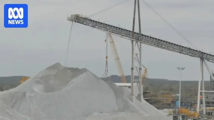 WA Government’s Lithium Processing Ambitions Challenged by Refinery Closure