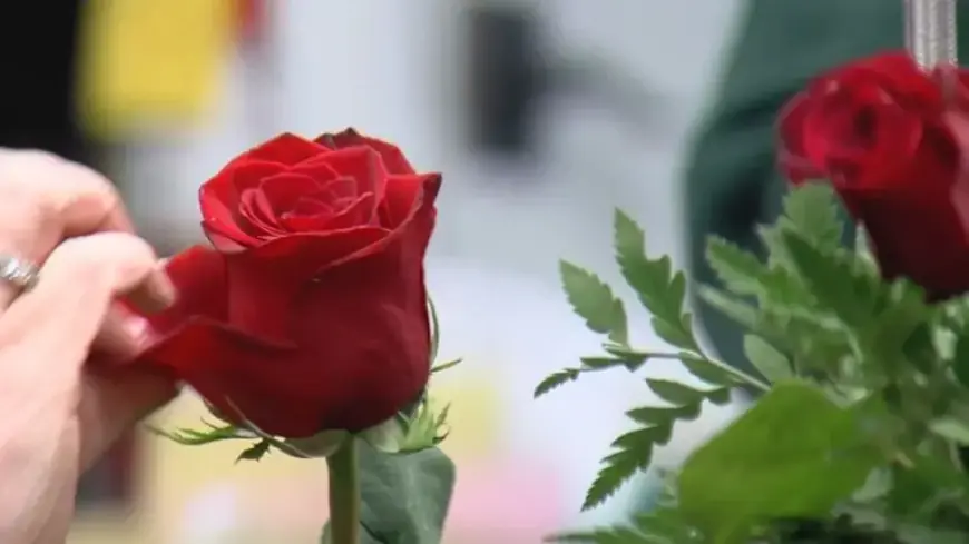 Busch’s Florist Prepares for Valentine’s Day Boom Amid $3.1B U.S. Flower Spend
