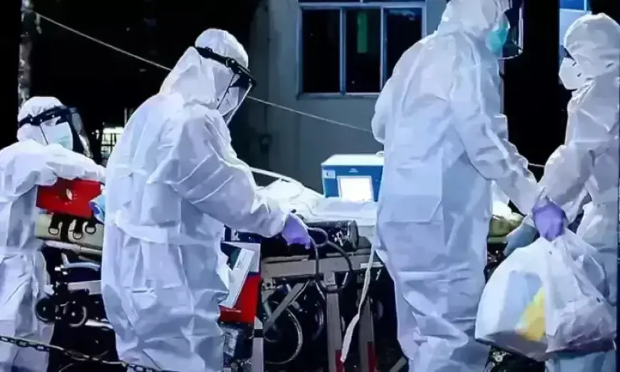 West Bengal Records First Nipah Death in Recent History