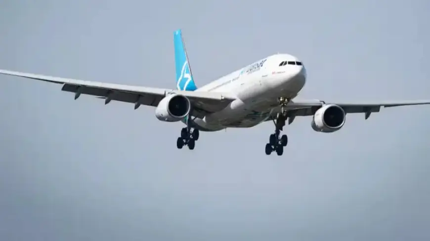 Air Transat Cancels Florida Flights: Are Canadians Boycotting?