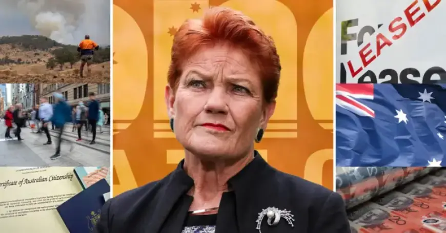 One Nation’s Popularity Soars: What Does Pauline Hanson’s Party Represent?