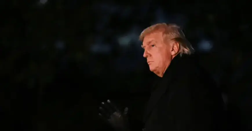 Trump to Reduce Steel and Aluminum Tariffs, Reports Financial Times