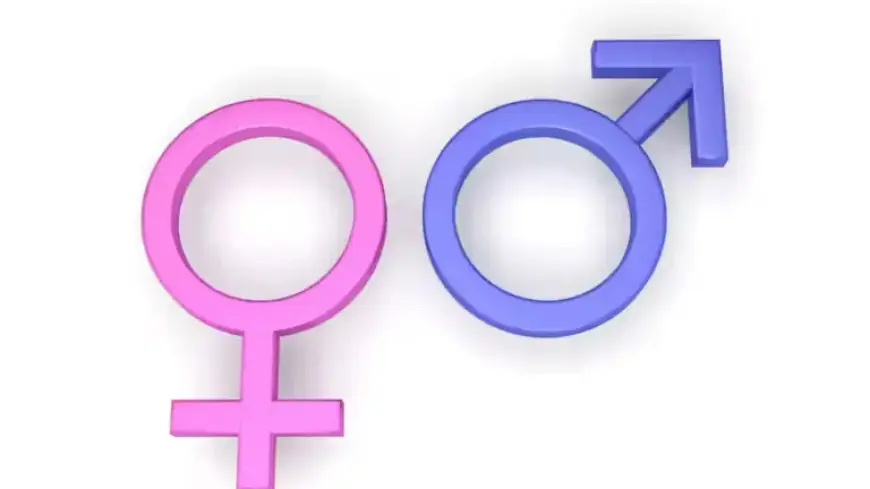 Feminism Embraces Equality Without Dismissing Men