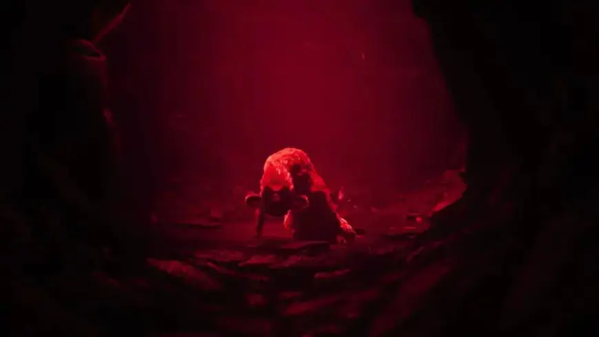 Reanimal Developers Unveil Original Game Title and Explain Its Shortcomings