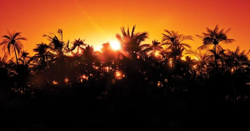 PlayStation Store deep-discounts Jurassic Park Classic Games Collection before March 31 delisting