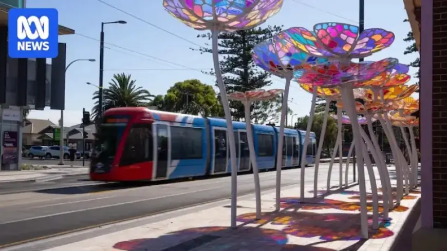 Jetty Road Traders Eager for Future After Prolonged Disruptions