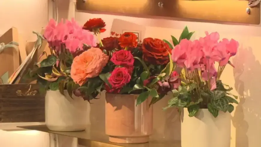 Providence Florist Ready for Valentine’s Day Surge