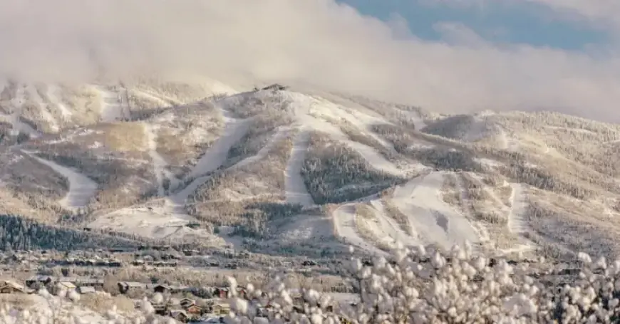 Plane Crash Near Steamboat Springs, Colo. Claims Four Lives