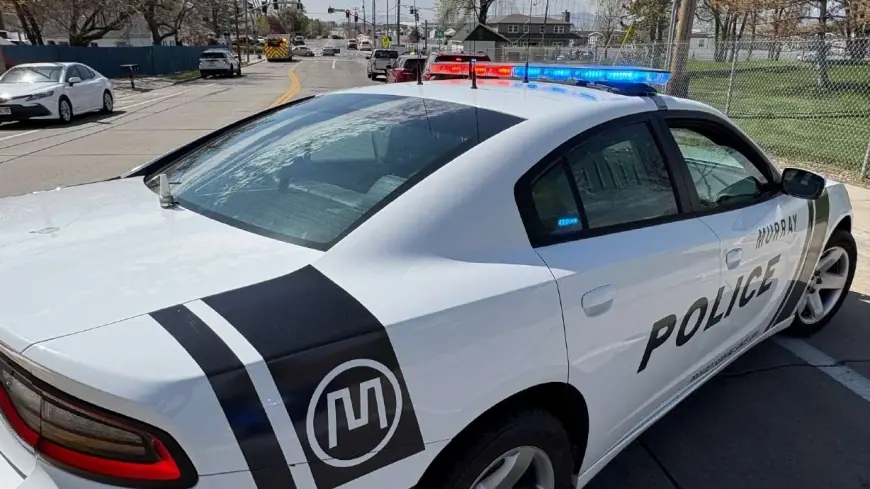 Homeless man arrested again after digging hole under Murray overpass