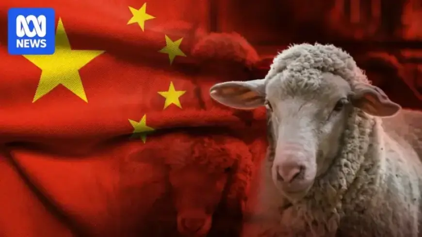 Wool Prices Surge Before Unprecedented Chinese New Year Break