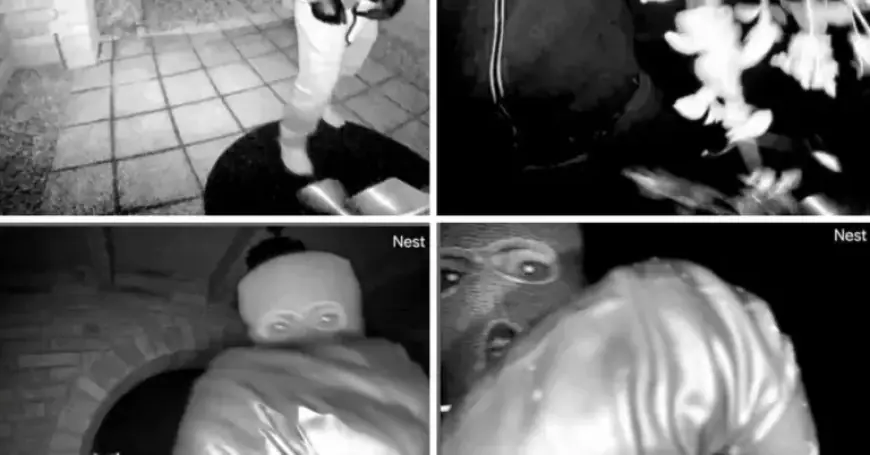 Nancy Guthrie’s Porch Images May Reveal Clues About Masked Suspect