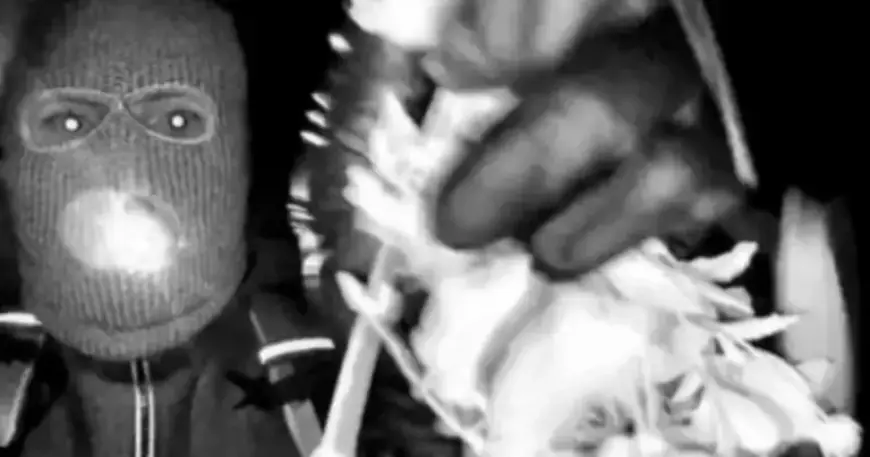 Investigators Search Second Residence in Nancy Guthrie Kidnapping Case