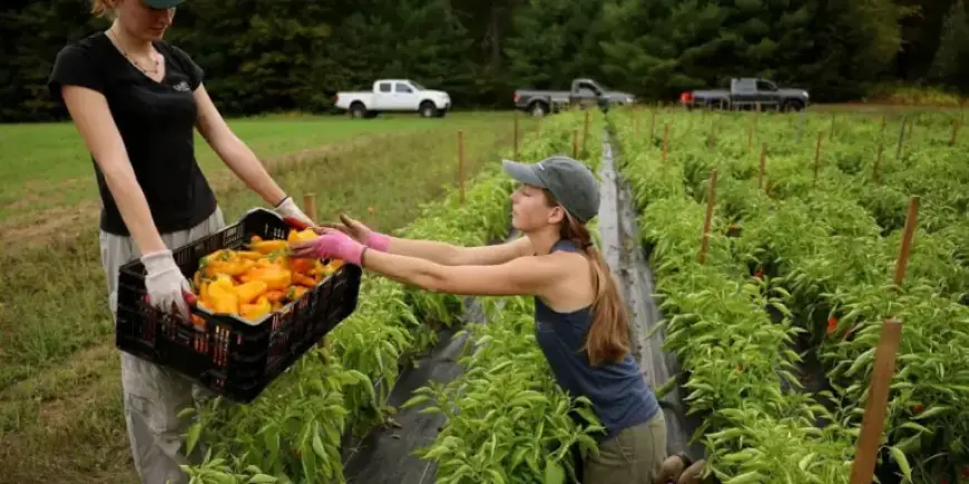 Critics Slam GOP for ‘Grotesque’ Farm Bill Laden with ‘Industry-Backed Poison Pills’