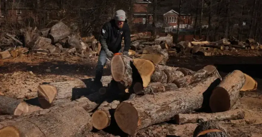Americans Rush to Buy Firewood as Winter Persists