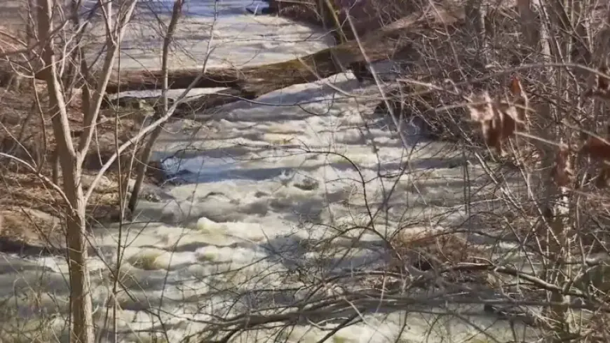 Sewage Pipe Collapse Leaves Behind Waste and Toilet Paper