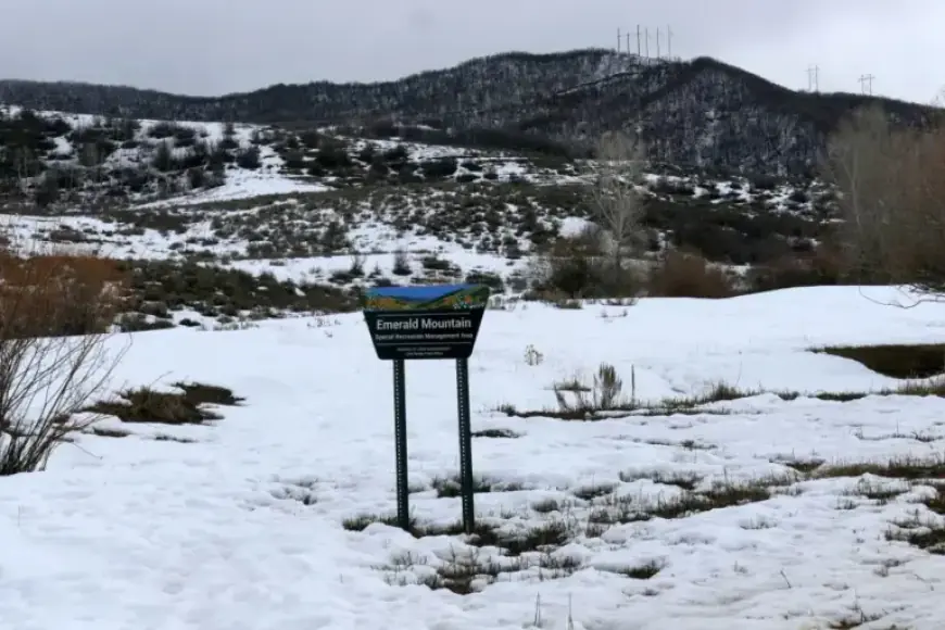 Colorado Plane Crash Claims 4 Lives, Including Tennessee Businessmen