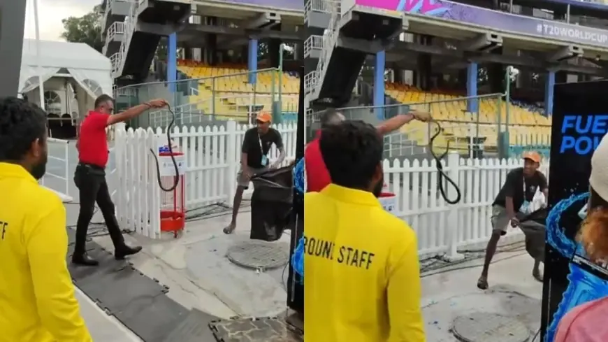 Snake Interrupts Pakistan Dugout Ahead of India vs Pakistan T20 World Cup Clash