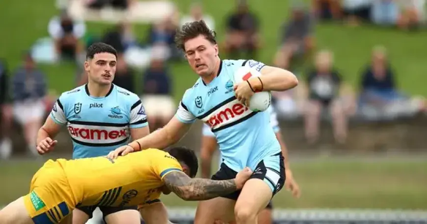 Sharks Face Eels in Witzer Pre-Season Challenge