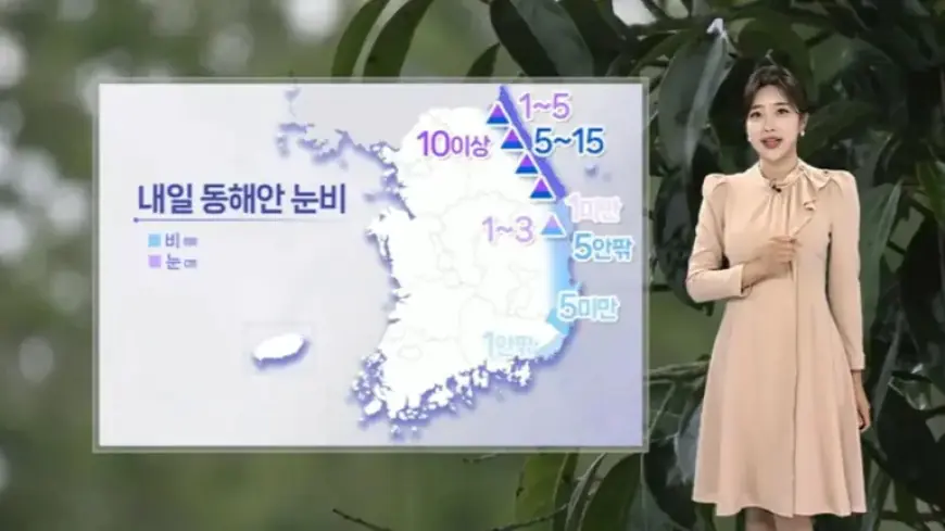 High Pollution Levels Decrease by Evening; Snow and Rain Expected Tomorrow