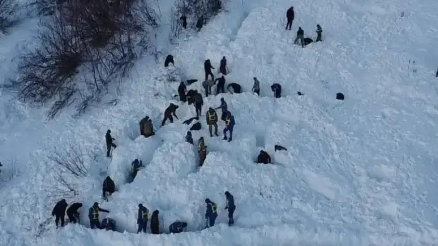 Suusamyr Avalanche Claims 20 Sheep; Search Continues for Missing Shepherd