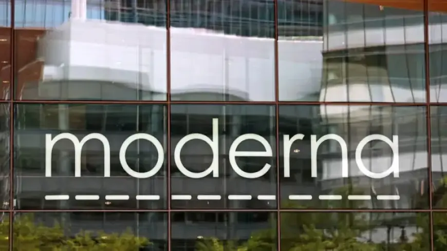 The Vaccine Market Faces Destruction: A Closer Look