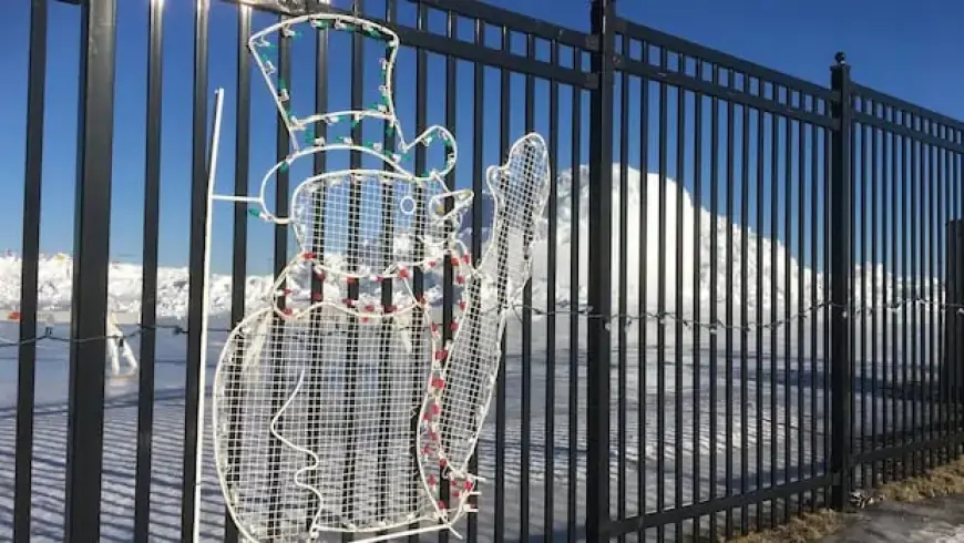 Islander Day 2026: P.E.I. Openings and Closures Unveiled