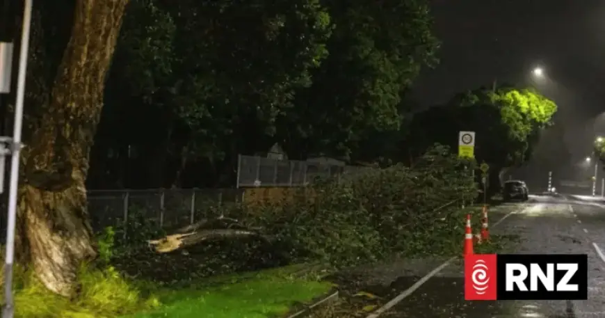 Severe Gales and Rain Force Evacuations, Power Outages in Lower North Island