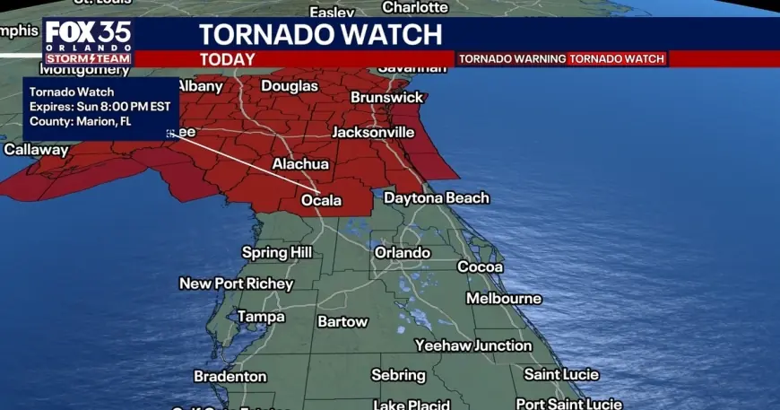 Ty Gibbs Prepares for Daytona 500 as Heat, Wind and Late Storm Threat Loom