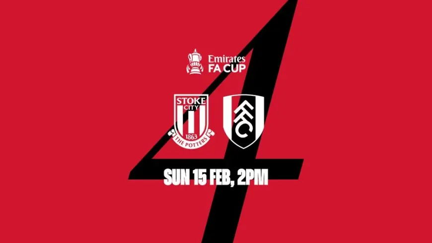 Stoke 1-2 Fulham: Harrison Reed late winner sends Fulham into FA Cup fifth round