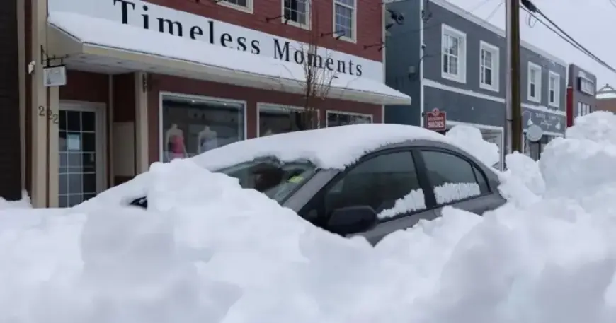 Snowfall Warning Issued for Eastern Nova Scotia by Environment Canada