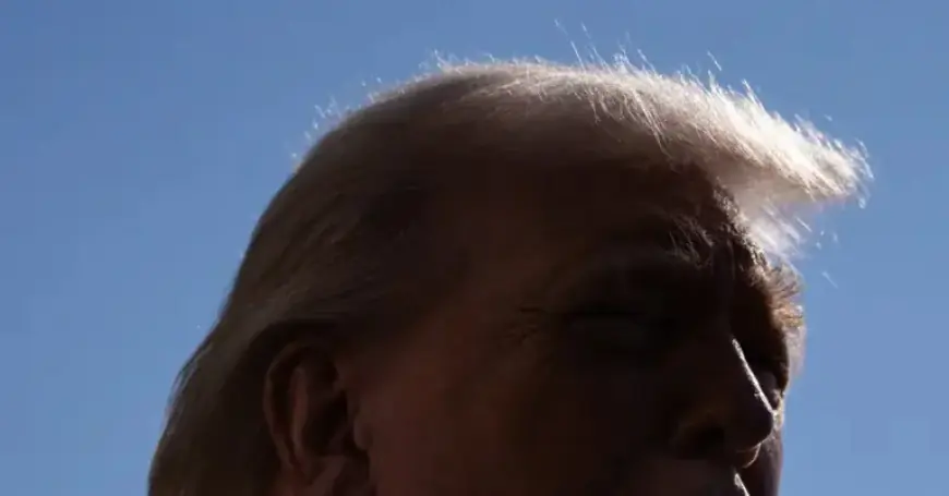 Munich: Lawmakers Acknowledge Lasting Impact of Trump’s Greenland Proposal