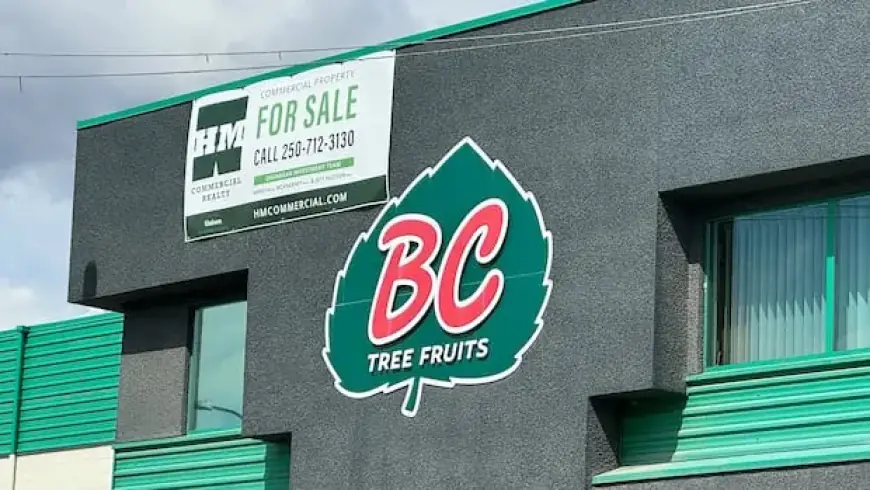Court Orders B.C. Tree Fruits to Distribute Remaining Millions to Ex-Members